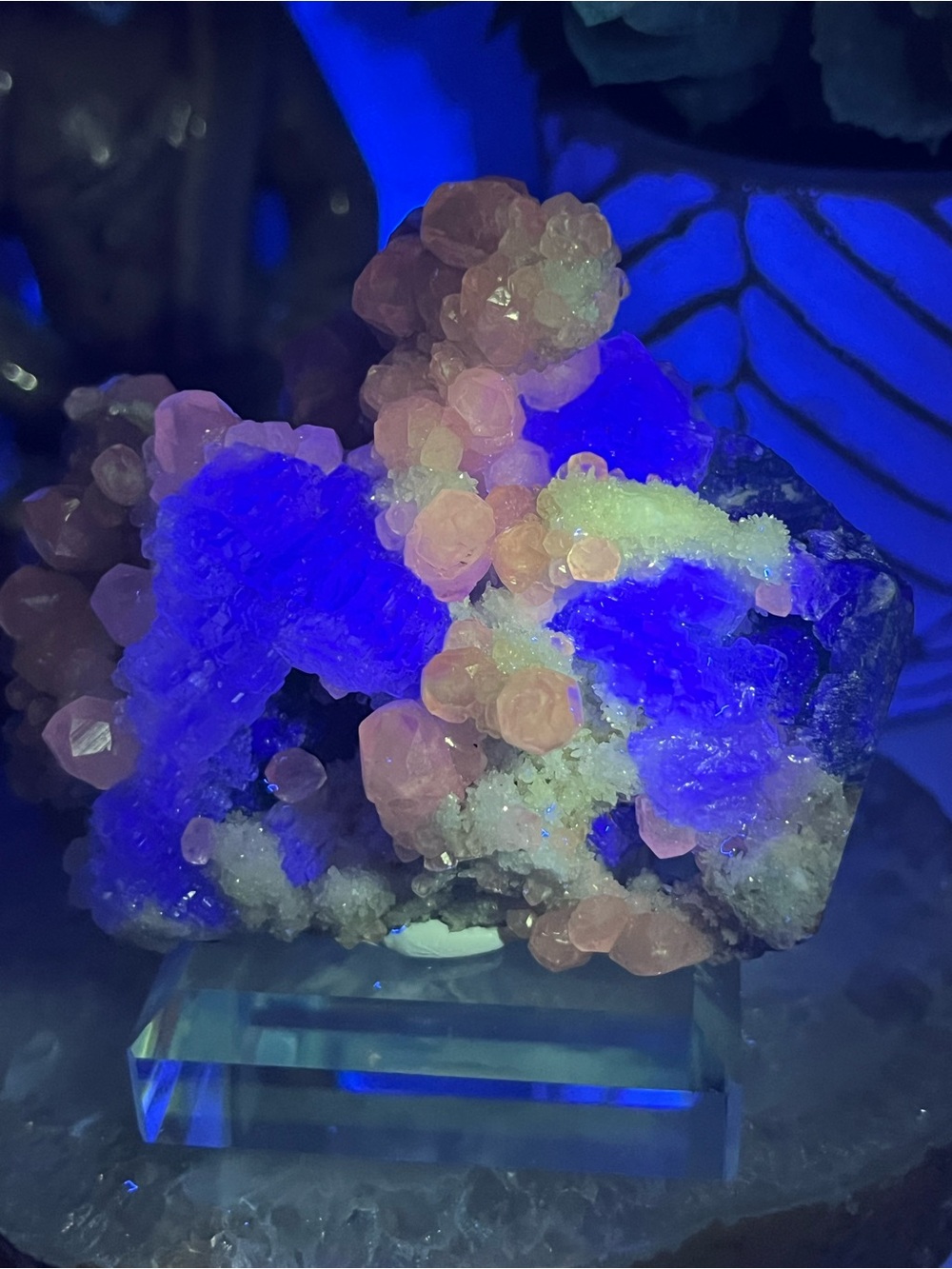 STUNNING Vivid UV Green Stepped Fluorite with Calcite and Quartz
